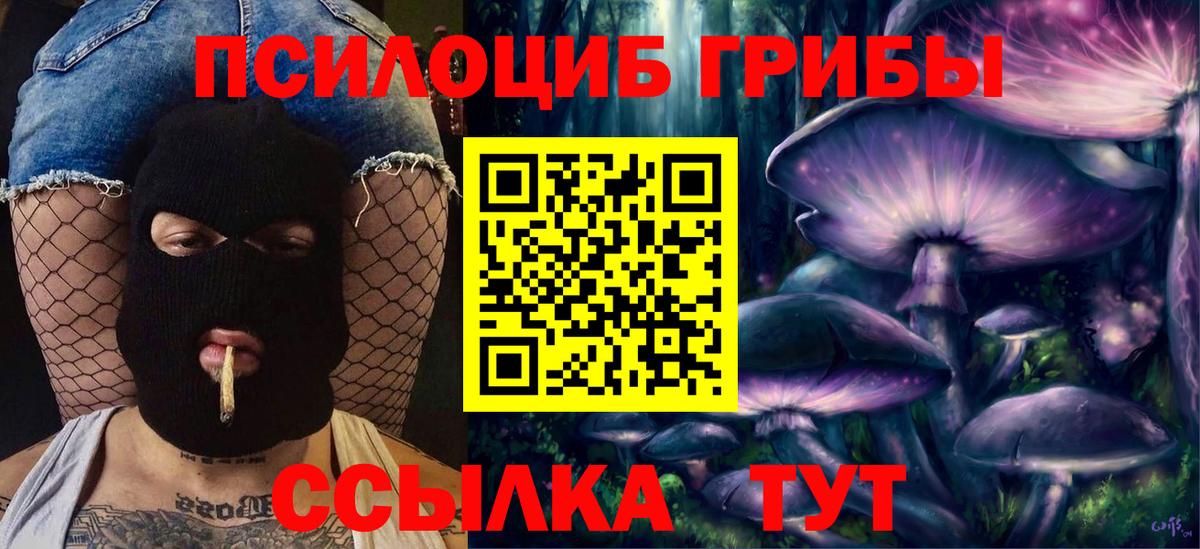 Галлюциногенные грибы мицелий Кондопога